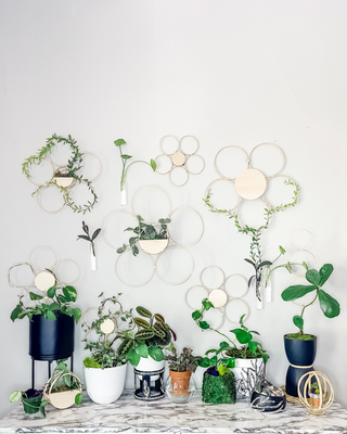 Cottage core minimal bamboo trellis wall planters for indoor plants