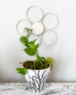 Handmade bamboo daisy trellis indoor plants whimsical cottage core decorative garden accessories indoor trellis circle floral sustainable unique gifts gardening trailing vine plants living statement wall funny Baudrillard philosophical