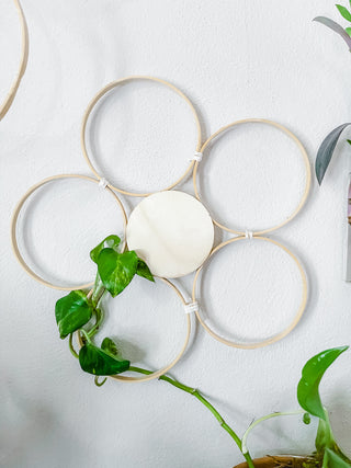 Handmade bamboo daisy trellis for indoor plants 3 sizes whimsical cottage core decorative plant accessories indoor vines climbing wood trellis circle decor minimal eclectic witchy graphic floral sustainable bamboo small business unique plant gifts for indoor gardening trailing plant ideas living statement wall dopamine decor daises minimal decor large affordable art Curved leaf