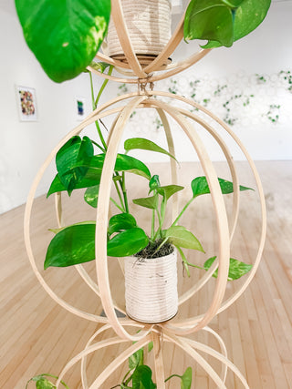 Handmade bamboo circle trellis for indoor plants pothos vine natural boho decor With Upcycled wall hanging planter