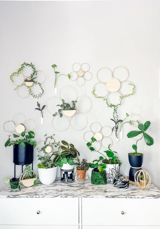 Handmade bamboo daisy trellis for indoor plants 3 sizes whimsical cottage core decorative plant accessories indoor vines climbing wood trellis circle decor minimal eclectic witchy graphic floral sustainable bamboo small business unique plant gifts for indoor gardening trailing plant ideas living statement wall dopamine decor daises minimal decor large affordable art