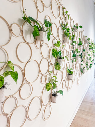 Handmade bamboo circle trellis for indoor plants pothos vine natural boho decor