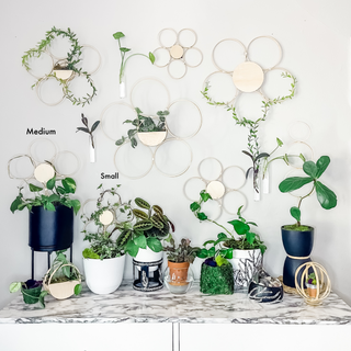 Handmade bamboo daisy trellis indoor plants whimsical cottage core decorative garden accessories indoor trellis circle floral sustainable unique gifts gardening trailing vine plants living statement wall funny Baudrillard philosophical potted plants trellis