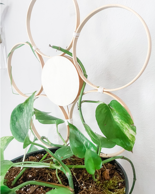 Handmade bamboo daisy trellis indoor plants whimsical cottage core decorative garden accessories indoor trellis circle floral sustainable unique gifts gardening trailing vine plants living statement wall funny Baudrillard philosophical potted plants trellis