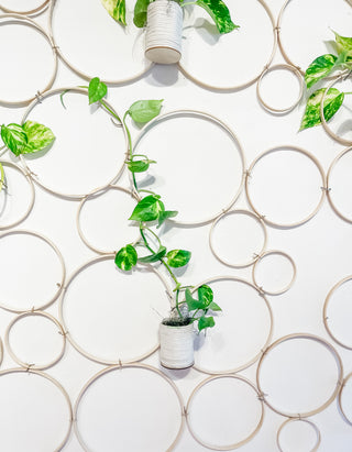 Handmade bamboo circle trellis for indoor plants pothos vine natural boho decor With Upcycled wall hanging planter