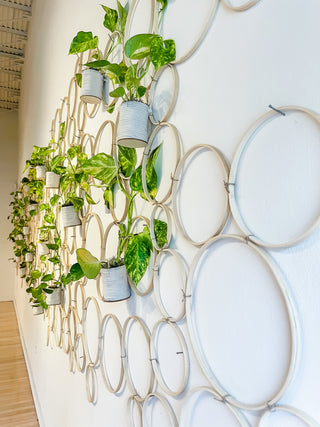 Handmade bamboo circle trellis for indoor plants pothos vine natural boho decor
