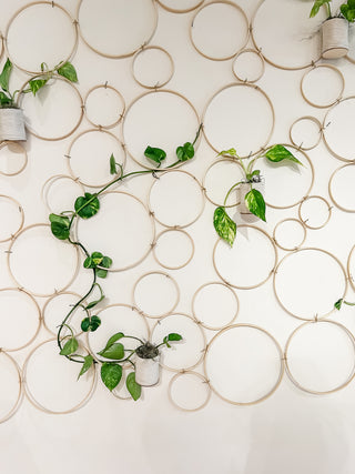 Handmade bamboo circle trellis for indoor plants pothos vine natural boho decor With Upcycled wall hanging planter