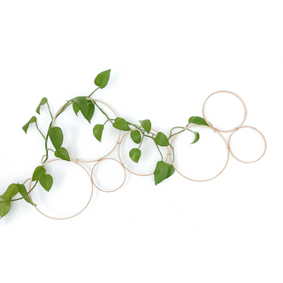 Circle decor Daisy bamboo handmade minimal trellis stake for indoor plants whimsical cottage core flower decor trellis for indoor plants unique garden gifts scandi boho bohemian decor flower power unique gardening gifts potted houseplants sustainable environmentally friendly neutral decor woodland witchy forest natural wood small business what to do with trailing plants vines