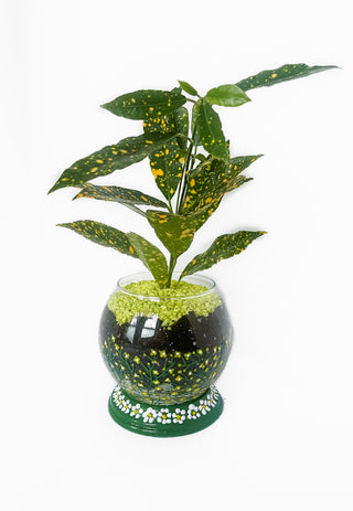 Glass hand painted container planter pot self-watering planter vase propagation station daisy green and yellow cottage core witchy magic crystal ball unique indoor gardening gifts hand-painted floral graphic flower Hogwarts herbology professor sprout practical magic
