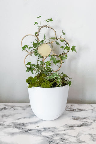 Handmade bamboo daisy trellis indoor plants whimsical cottage core decorative garden accessories indoor trellis circle floral sustainable unique gifts gardening trailing vine plants living statement wall funny Baudrillard philosophical potted plants trellis