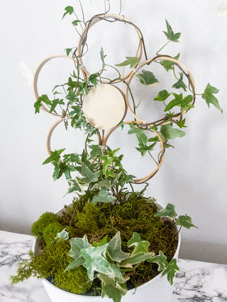 Handmade bamboo daisy trellis indoor plants whimsical cottage core decorative garden accessories indoor trellis circle floral sustainable unique gifts gardening trailing vine plants living statement wall funny Baudrillard philosophical potted plants trellis