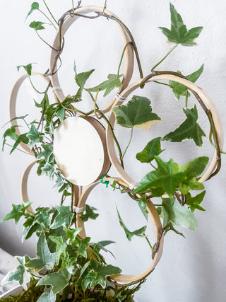 Handmade bamboo daisy trellis indoor plants whimsical cottage core decorative garden accessories indoor trellis circle floral sustainable unique gifts gardening trailing vine plants living statement wall funny Baudrillard philosophical potted plants trellis