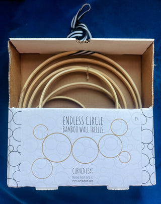 Circle decor Daisy bamboo handmade minimal trellis stake for indoor plants whimsical cottage core flower decor trellis for indoor plants unique garden gifts scandi boho bohemian decor flower power unique gardening gifts potted houseplants sustainable environmentally friendly neutral decor woodland witchy forest natural wood small business what to do with trailing plants vines