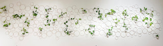 Hexagonal tiles with small plants on a white background goat bamboo trellis multi circle herin endless circle wall trellis for climbing and vining plants installation art gallery mid century mcm plant products and gifts unique handmade small business