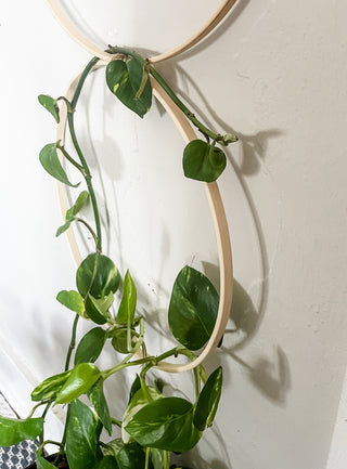 Minimal decor Daisy bamboo handmade minimal trellis stake for indoor plants whimsical cottage core flower decor trellis for indoor plants unique garden gifts scandi boho bohemian decor flower power unique gardening gifts potted houseplants sustainable environmentally friendly neutral decor woodland witchy forest natural wood small business what to do with trailing plants vines planter trellis combination wall hanging