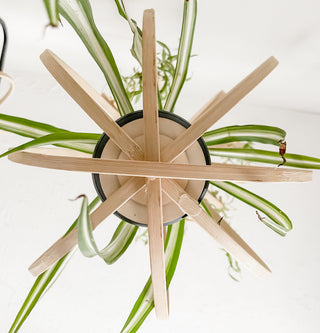 Daisy bamboo handmade minimal trellis stake for indoor plants whimsical cottage core flower decor trellis for indoor plants unique garden gifts scandi boho bohemian decor flower power unique gardening gifts potted houseplants sustainable environmentally friendly neutral decor woodland witchy forest natural wood small business what to do with trailing plants vines planter trellis combination wall hanging