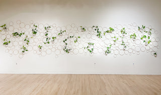 Daisy bamboo handmade minimal trellis stake for indoor plants whimsical cottage core flower decor trellis for indoor plants unique garden gifts scandi boho bohemian decor flower power unique gardening gifts potted houseplants sustainable environmentally friendly neutral decor woodland witchy forest natural wood small business what to do with trailing plants vines Circle decor living wall