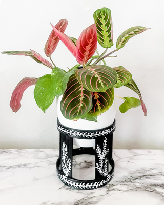 Handmade Painted Plant Stand with White Self Watering Planter