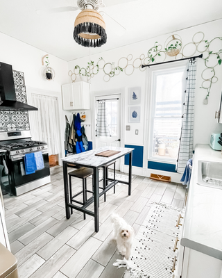 Morkie puppy in bright blue and white modern kitchen with trellis and decorative tile