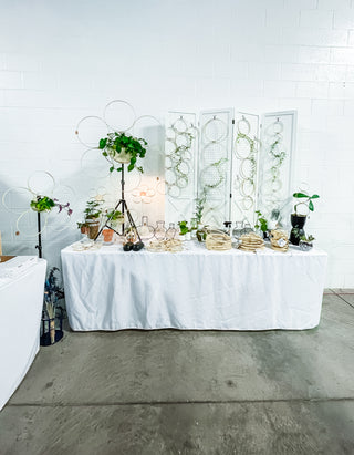 Scandi minimal white decor cloud planter Upcycled planter with various plants for local pickup rope planter unique gifts for indoor gardening houseplants trellis small business 