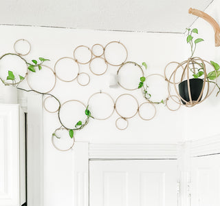 Bamboo circle trellis in boho natural kitchen with indoor plants