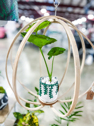 Minimal boho Daisy Cinderella fairy indoor plants whimsical cottage core flower decor trellis for indoor plants unique garden gifts scandi boho bohemian decor flower power unique gardening gifts potted houseplants sustainable environmentally friendly neutral decor woodland witchy forest natural wood small business what to do with trailing plants vines planter trellis combination wall hanging Bibbidi-Bobbidi-Boo Floating Plant Shelf and Trellis 3D circle hanging shelf crystals disney godmother magical