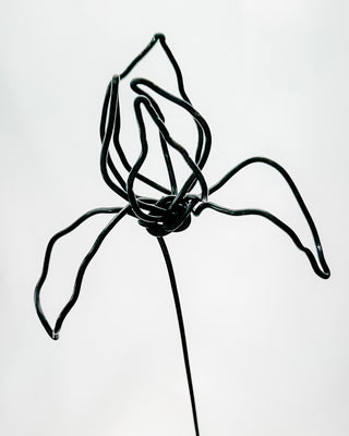 Iris irises flower stem wire metal floral flowers wedding faux plants leaves persevered wedding bouquet forver flowers unique gifts for moms and flower lovers birth month February gifts handmade small business curved leaf Mother’s Day custom bouquet mcm mid century whimsical modern minimalist dopamine decor made in America tabletop tablescape ideas houseplants leaves leaf decorations dried floral aluminum steel cute pretty flowers custom colors one-of-a-kind affordable fake flowers artificial
