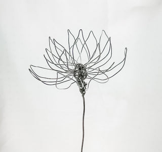 water Lilly lily lilies flower stem wire metal floral flowers wedding faux plants leaves persevered wedding bouquet forever flowers unique gifts for moms and flower lovers birth month gifts handmade small business curved leaf custom fake wedding July cancer Leo zodiac gifts minimalist dopamine decor made in America tabletop tablescape ideas houseplants leaves leaf decorations dried floral aluminum steel cute pretty flowers custom colors one-of-a-kind affordable fake flowers artificial fall