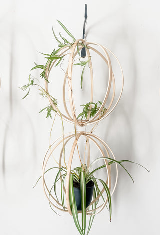 Minimal boho Daisy Cinderella fairy indoor plants whimsical cottage core flower decor trellis for indoor plants unique garden gifts scandi boho bohemian decor flower power unique gardening gifts potted houseplants sustainable environmentally friendly neutral decor woodland witchy forest natural wood small business what to do with trailing plants vines planter trellis combination wall hanging Bibbidi-Bobbidi-Boo Floating Plant Shelf and Trellis 3D circle hanging shelf crystals disney godmother magical