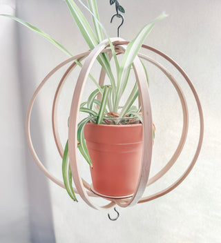 bohemian indoor plant pots Medium Hanging Bamboo Globe Trellis: Floating Plant Shelf – Curved Leaf
