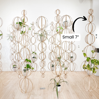 Minimal boho Daisy Cinderella fairy indoor plants whimsical cottage core flower decor trellis for indoor plants unique garden gifts scandi boho bohemian decor flower power unique gardening gifts potted houseplants sustainable environmentally friendly neutral decor woodland witchy forest natural wood small business what to do with trailing plants vines planter trellis combination wall hanging Bibbidi-Bobbidi-Boo Floating Plant Shelf and Trellis 3D circle hanging shelf crystals disney godmother magical