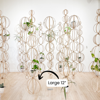 Minimal boho Daisy Cinderella fairy indoor plants whimsical cottage core flower decor trellis for indoor plants unique garden gifts scandi boho bohemian decor flower power unique gardening gifts potted houseplants sustainable environmentally friendly neutral decor woodland witchy forest natural wood small business what to do with trailing plants vines planter trellis combination wall hanging Bibbidi-Bobbidi-Boo Floating Plant Shelf and Trellis 3D circle hanging shelf crystals disney godmother magical