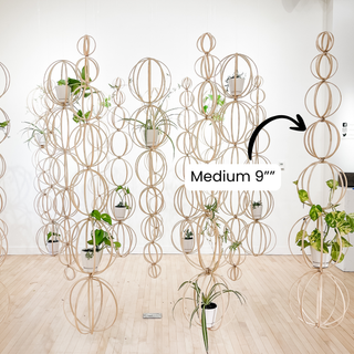 Minimal boho Daisy Cinderella fairy indoor plants whimsical cottage core flower decor trellis for indoor plants unique garden gifts scandi boho bohemian decor flower power unique gardening gifts potted houseplants sustainable environmentally friendly neutral decor woodland witchy forest natural wood small business what to do with trailing plants vines planter trellis combination wall hanging Bibbidi-Bobbidi-Boo Floating Plant Shelf and Trellis 3D circle hanging shelf crystals disney godmother magical