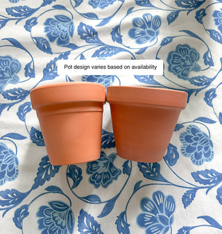 Minimalist tall vase self watering planter unique functional style boho scandi minimal decor plants terracotta and glass planter Cottage core glass and terracotta magic plant pot self-watering bottom watering for ferns mcm mid-century modern decor globe bubble circle garden tools solutions gifts for plant lovers housewarming wedding centerpiece wap black thumb indoor plant accessories unique small business made in America sustainable cute packaging curved leaf Wap wet ass planter Cardi b Terracotta blue 
