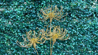 Three gold wire metal chrysanthemum sculptures on thin stems, set against a blurred green ivy background. Curved leaf