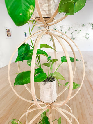 Hanging Bamboo Globe Trellis