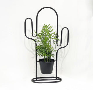 Catus Plant Stand and Trellis