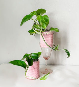 Set of Two Handmade Pink Upcycled Planters with Pothos Plant