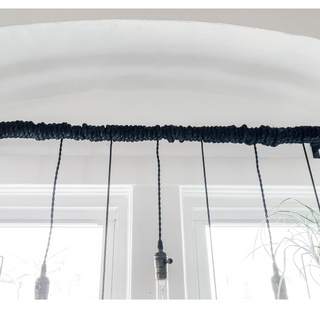 Hanging Planter and Corded Pendant Light with Decorative Filament Bulbs