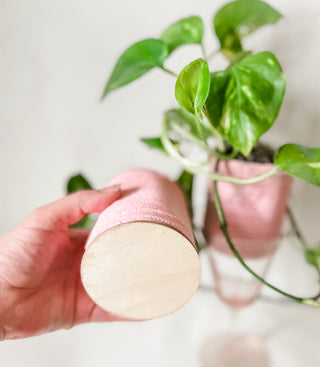 Set of Two Handmade Pink Upcycled Planters with Pothos Plant