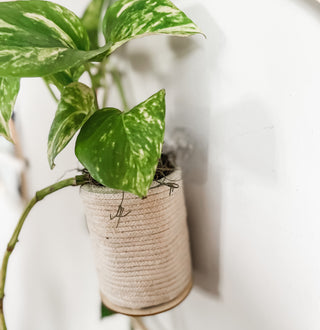 Minimal Upcycled Hanging Planter with Hook