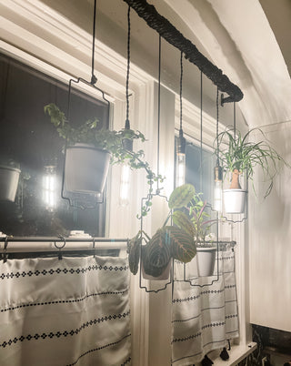 Hanging Planter and Corded Pendant Light with Decorative Filament Bulbs