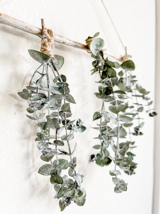Large Handmade Preserved Eucalyptus Hanging Boho Cottage Core Dried Floral Display